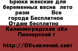 Брюки женские для беременных весна, лето (разм.50 XL). - Все города Бесплатное » Отдам бесплатно   . Калининградская обл.,Пионерский г.